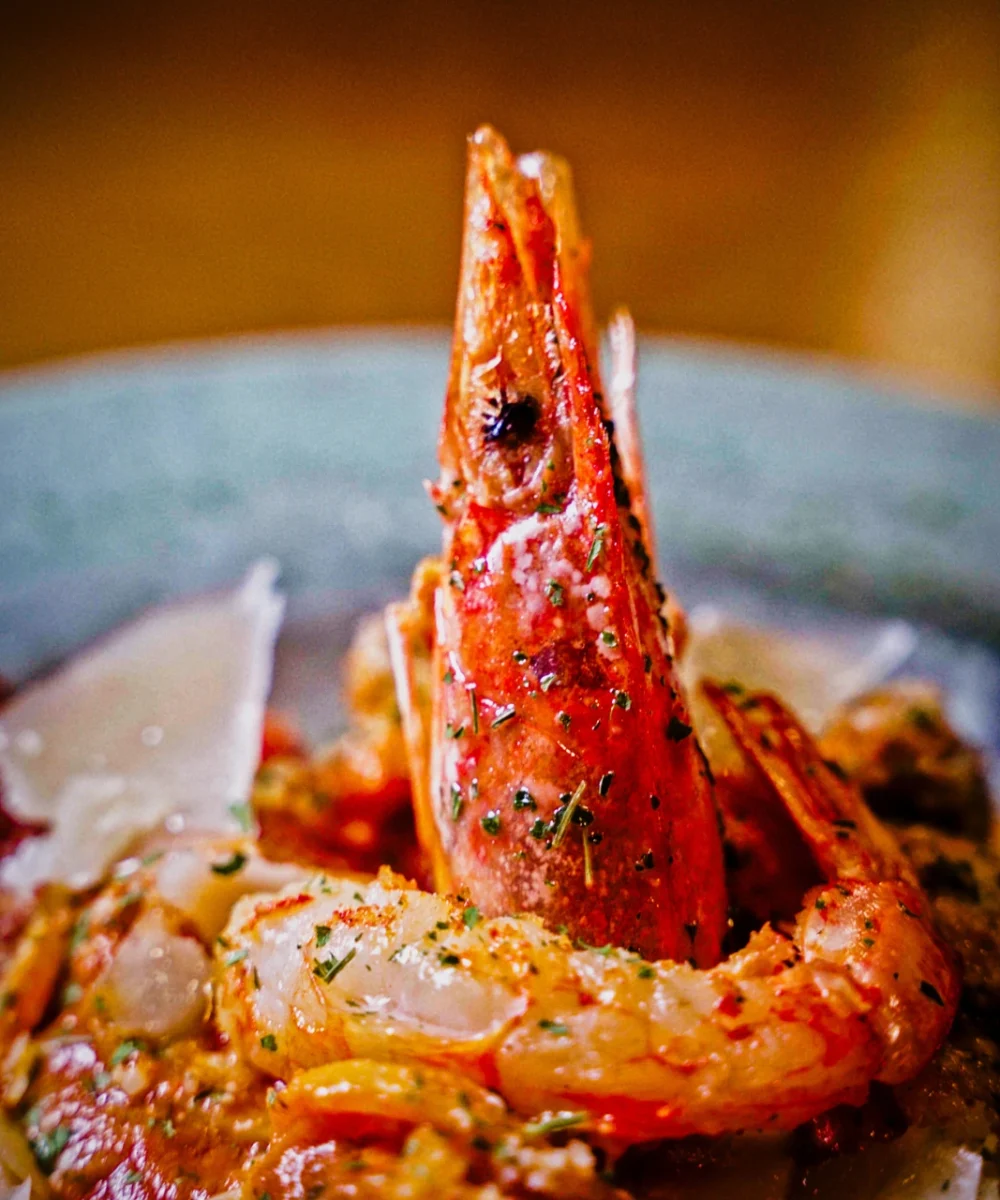 El verdadero sentido de la trattoria venecia en Madrid